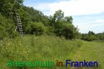 Bild zum Eintrag (912271-177)