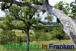 Bild zum Eintrag (912272-177)