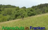 Bild zum Eintrag (912273-177)