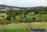 Bild zum Eintrag (912274-177)