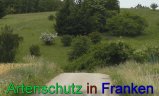 Bild zum Eintrag (912279-177)