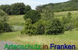 Bild zum Eintrag (912286-177)