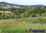 Bild zum Eintrag (912288-177)