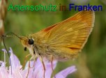 Bild zum Eintrag (912291-177)