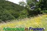 Bild zum Eintrag (912293-177)