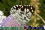 Bild zum Eintrag (912294-177)