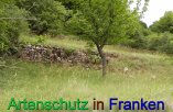 Bild zum Eintrag (912299-177)