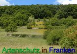 Bild zum Eintrag (912300-177)