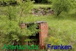 Bild zum Eintrag (912301-177)