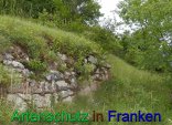 Bild zum Eintrag (912304-177)