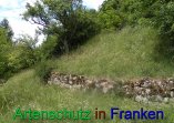 Bild zum Eintrag (912314-177)