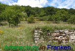 Bild zum Eintrag (912319-177)