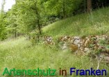 Bild zum Eintrag (912321-177)