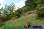 Bild zum Eintrag (912322-177)