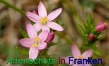 Bild zum Eintrag (912327-177)