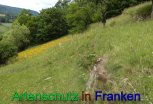 Bild zum Eintrag (912329-177)