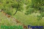 Bild zum Eintrag (912333-177)