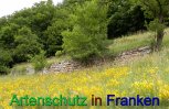 Bild zum Eintrag (912334-177)