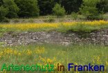 Bild zum Eintrag (912338-177)