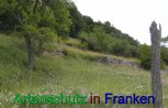 Bild zum Eintrag (912339-177)