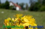 Bild zum Eintrag (912358-177)