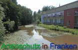 Bild zum Eintrag (912368-177)