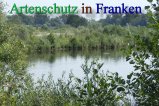 Bild zum Eintrag (912384-177)