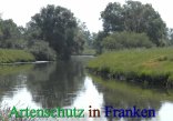 Bild zum Eintrag (912387-177)