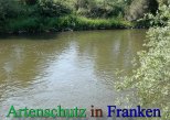 Bild zum Eintrag (912397-177)