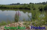 Bild zum Eintrag (912404-177)