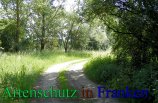 Bild zum Eintrag (912408-177)