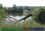 Bild zum Eintrag (912422-177)