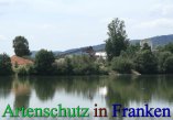 Bild zum Eintrag (912423-177)