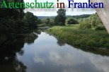 Bild zum Eintrag (912429-177)