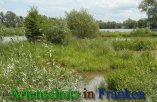 Bild zum Eintrag (912445-177)