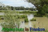 Bild zum Eintrag (912448-177)