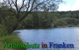 Bild zum Eintrag (912470-177)