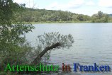 Bild zum Eintrag (912474-177)