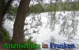 Bild zum Eintrag (912480-177)