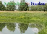 Bild zum Eintrag (912673-177)