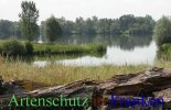 Bild zum Eintrag (912674-177)