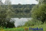 Bild zum Eintrag (912679-177)