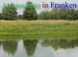 Bild zum Eintrag (912682-177)