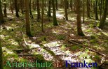 Bild zum Eintrag (912694-177)