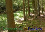 Bild zum Eintrag (912722-177)