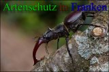 Bild zum Eintrag (912754-177)