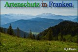 Bild zum Eintrag (912768-177)