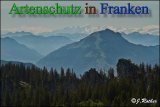 Bild zum Eintrag (912769-177)