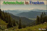 Bild zum Eintrag (912770-177)