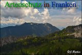 Bild zum Eintrag (912773-177)